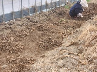 이창신님의 자유주제 · 자유게시판 작성글 사진