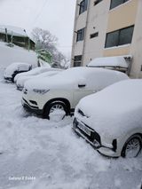 팜모닝 설날 계획 공유해요·참여글 게시글 이미지
