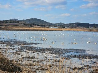 경원ljb3357님의 자유주제 · 자유게시판 작성글 사진