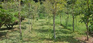 나무의인생과삶님의 설날 계획 공유해요 · 참여글 작성글 사진