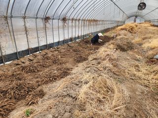 이창신님의 자유주제 · 자유게시판 작성글 사진