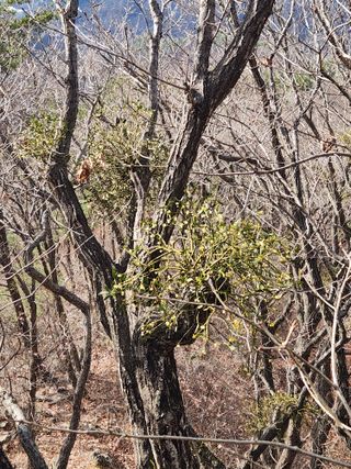 시호바라기님의 농업인 건보료 지원확대, 찬성vs반대 · 참여글 작성글 사진