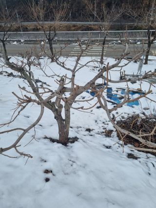 김용대님의 자유주제 · 자유게시판 작성글 사진