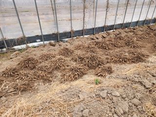 이창신님의 자유주제 · 자유게시판 작성글 사진