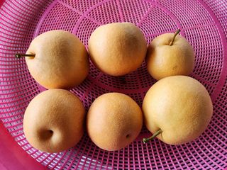 참깨.고추ㆍ박천제님의 농업인 건보료 지원확대, 찬성vs반대 · 참여글 작성글 사진