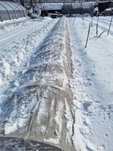 팜모닝 · 게시글 이미지