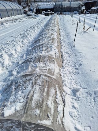 김광수님의 작성글 사진