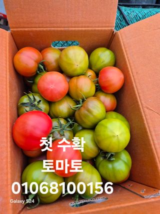 양배추10953님의 자유주제 · 자유게시판 작성글 사진