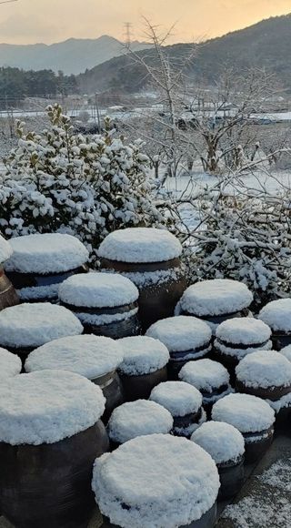 MSG0074님의 자유주제 · 자유게시판 작성글 사진