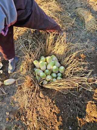 흰머리독수리님의 농업인 건보료 지원확대, 찬성vs반대 · 참여글 작성글 사진