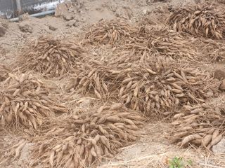 이창신님의 자유주제 · 자유게시판 작성글 사진