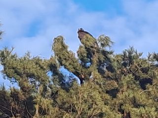 천년의사랑님의 농업인 건보료 지원확대, 찬성vs반대 · 참여글 작성글 사진