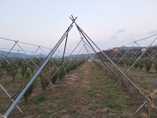 이문우님의 농업인 건보료 지원확대, 찬성vs반대 · 참여글 작성글 사진