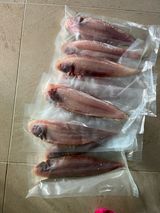 팜모닝 자유주제·칭찬해요 게시글 이미지