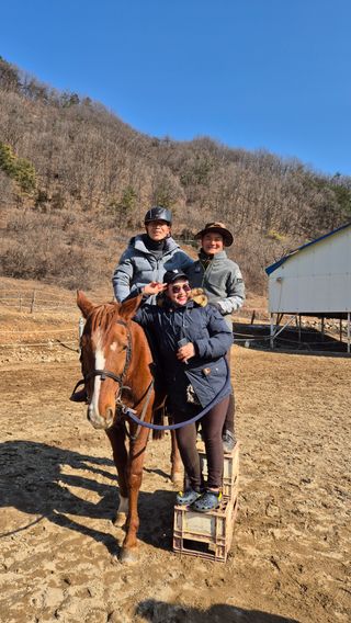 고영희님의 설날 계획 공유해요 · 참여글 작성글 사진