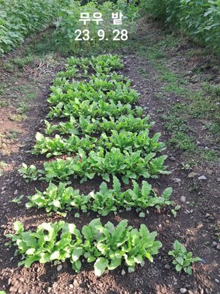 두채균님의 농업인 건보료 지원확대, 찬성vs반대 · 참여글 작성글 사진