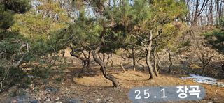 나무의인생과삶님의 설날 계획 공유해요 · 참여글 작성글 사진