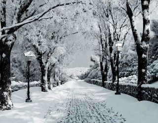 초보텃밭님의 농업인 건보료 지원확대, 찬성vs반대 · 참여글 작성글 사진