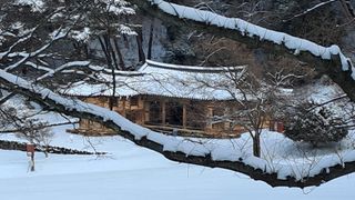 이정운님의 자유주제 · 자유게시판 작성글 사진