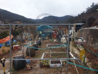 김순필수방님의 작성글 사진