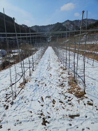 손기홍님의 자유주제 · 자유게시판 작성글 사진