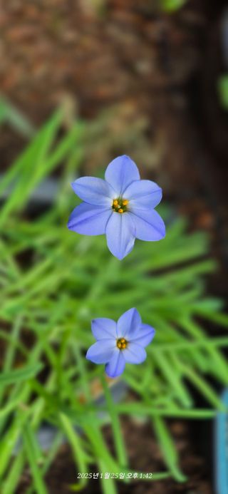 달맛햇복숭아농원님의 자유주제 · 사진전 작성글 사진