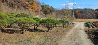 나무의인생과삶님의 설날 계획 공유해요 · 참여글 작성글 사진