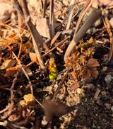 팜모닝 자유주제·자유게시판 게시글 이미지