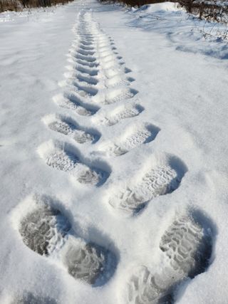 백화산지킴이산야초님의 자유주제 · 자유게시판 작성글 사진