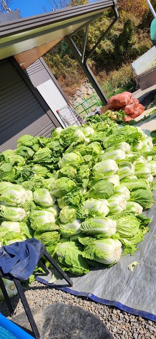 참깨.고추ㆍ박천제님의 농업인 건보료 지원확대, 찬성vs반대 · 참여글 작성글 사진