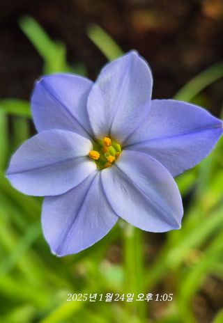 달맛햇복숭아농원님의 자유주제 · 사진전 작성글 사진