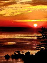 팜모닝 · 게시글 이미지