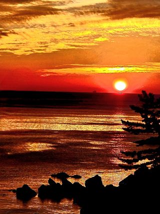 황철환님의 작성글 사진