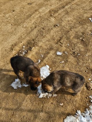 손기홍님의 자유주제 · 자유게시판 작성글 사진