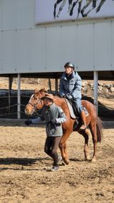 팜모닝 설날 계획 공유해요·참여글 게시글 이미지