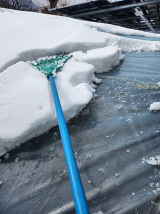백화산지킴이산야초님의 자유주제 · 자유게시판 작성글 사진