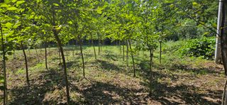 나무의인생과삶님의 설날 계획 공유해요 · 참여글 작성글 사진