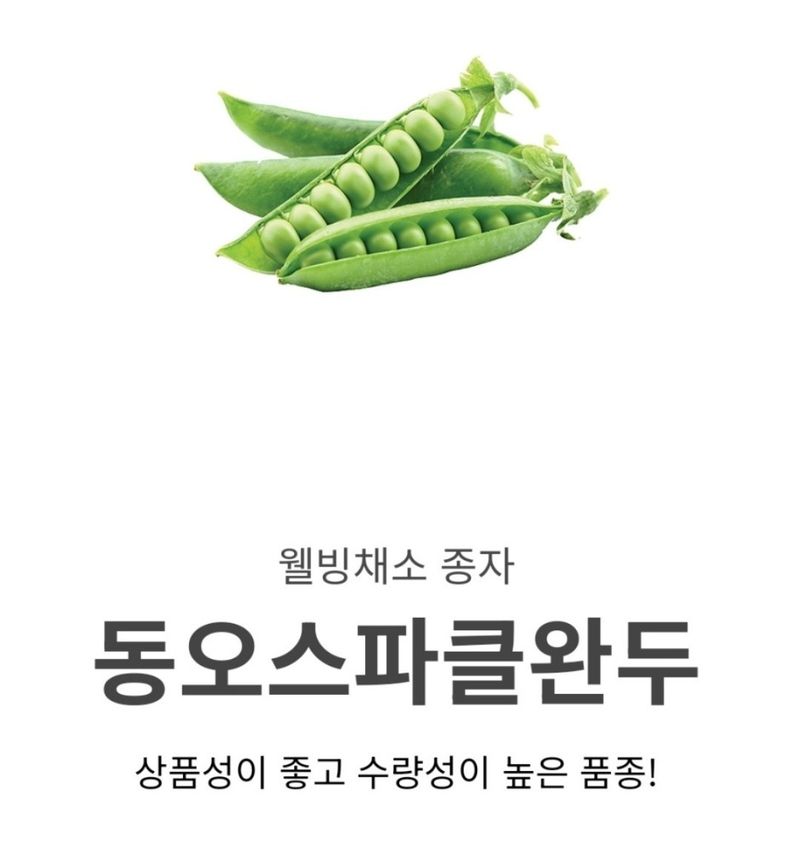 대산농사대장님의 장터 판매 상품 [동오스파크 완두콩 씨앗   수량성우수  ] 첨부 사진