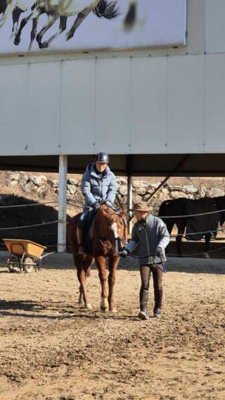 고영희님의 설날 계획 공유해요 · 참여글 작성글 사진