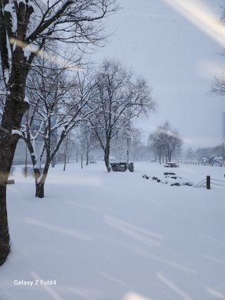 시호바라기님의 설날 계획 공유해요 · 참여글 작성글 사진