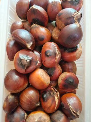 백화산지킴이산야초님의 자유주제 · 자유게시판 작성글 사진