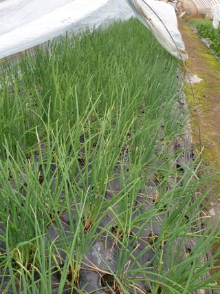 갑돌이님의 자유주제 · 자유게시판 작성글 사진