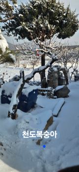 팜모닝 설날 계획 공유해요·참여글 게시글 이미지