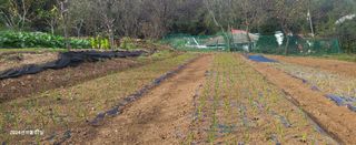 오이4915님의 농업인 건보료 지원확대, 찬성vs반대 · 참여글 작성글 사진