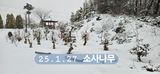 나무의인생과삶님의 설날 계획 공유해요·참여글 작성글 사진