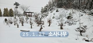 나무의인생과삶님의 설날 계획 공유해요 · 참여글 작성글 사진