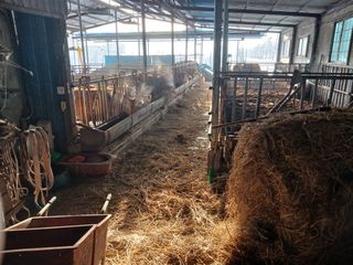 알 수 없음님의 자유주제 · 자유게시판 작성글 사진