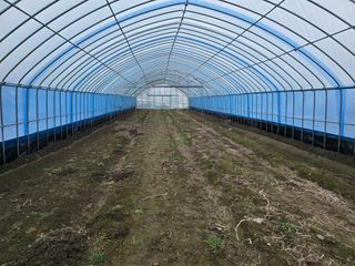 워람농장ㆍ황일택ㆍ님의 농업인 건보료 지원확대, 찬성vs반대 · 참여글 작성글 사진