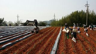 박수열님의 자유주제 · 자유게시판 작성글 사진