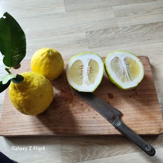 맹태임님의 자유주제 · 자유게시판 작성글 사진